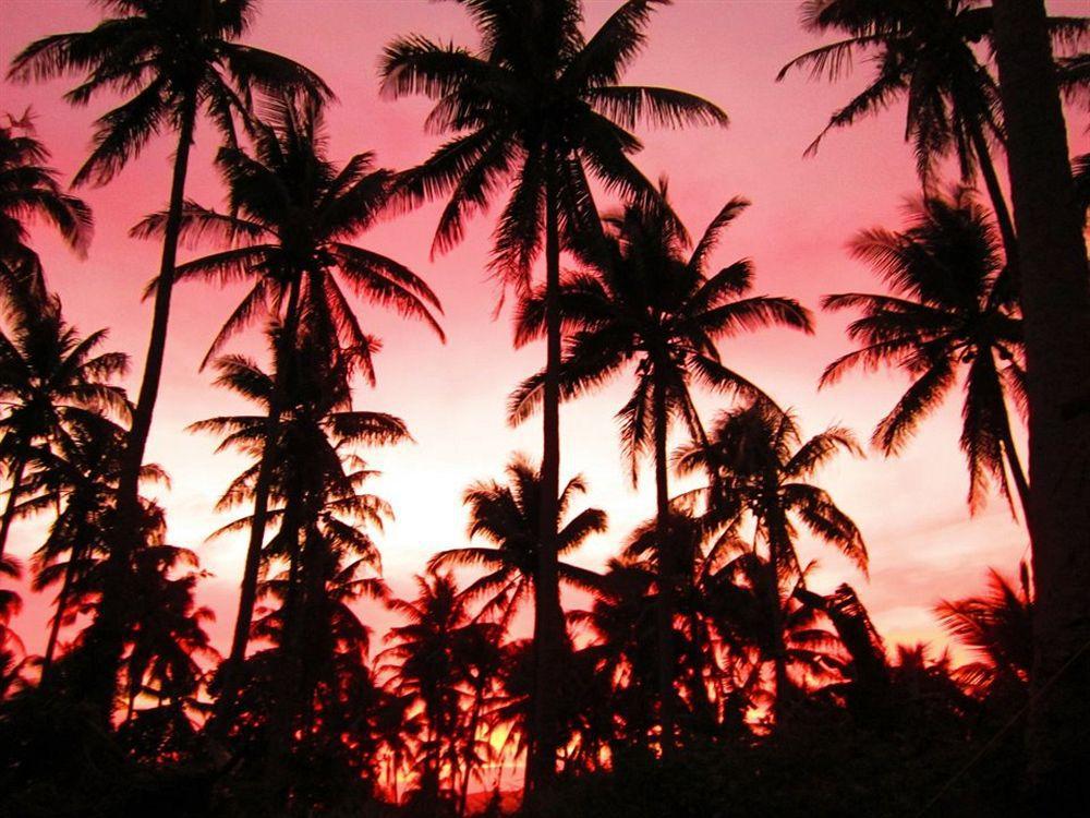 Balay De La Rama Bed & Breakfast Legazpi Luaran gambar