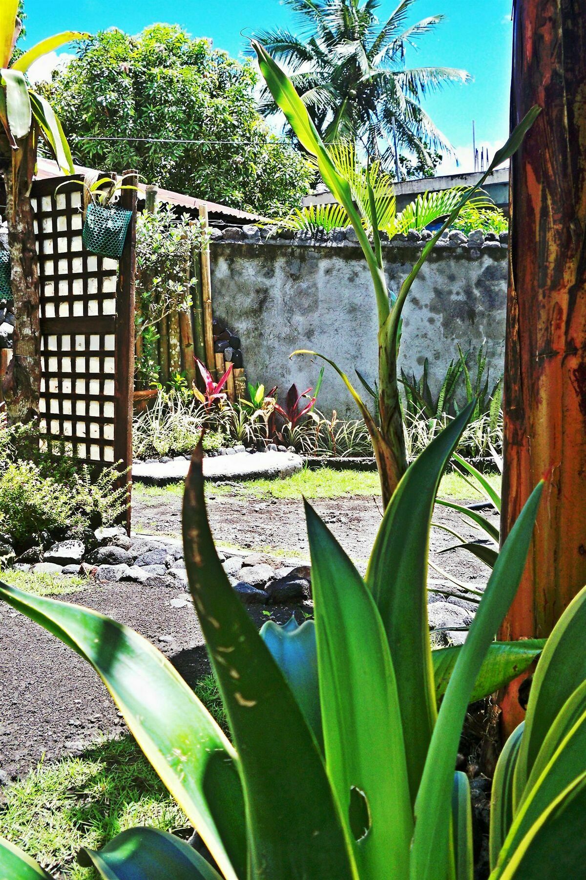 Balay De La Rama Bed & Breakfast Legazpi Luaran gambar